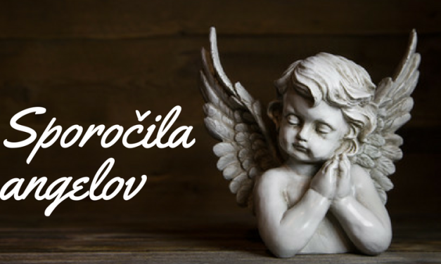Sporočilo angelov zate 49