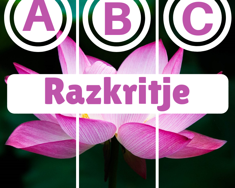 Razkritje: Kaj vam sporoča Vesolje